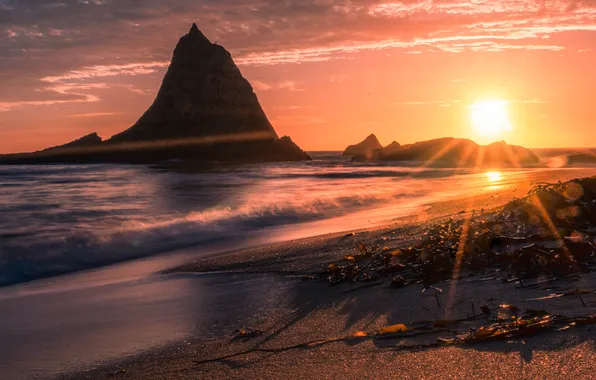 Sand, sea, wave, beach, the sun, rays, light, sunset