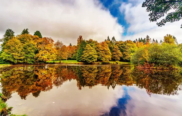 Autumn, trees, reflection, river, garden, Ireland, Botanic Gardens Dublin