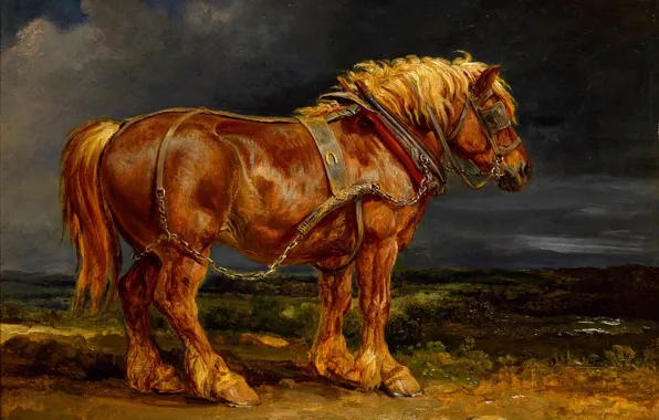 Picture clouds, horse, horse, red, painting, harness