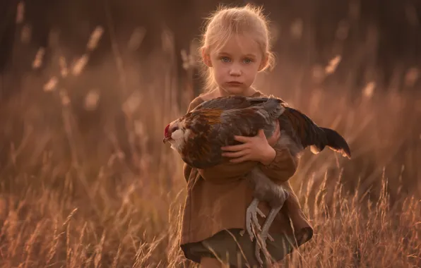Field, glade, chicken, girl, Lisa Holloway