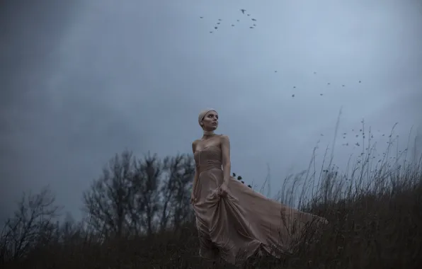 Picture girl, the wind, bird, dress, Aleah Michele, The side of a dying hill