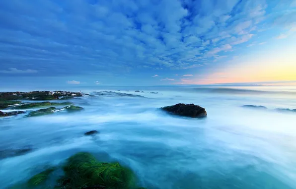 Sea, the sky, clouds, algae, Heron