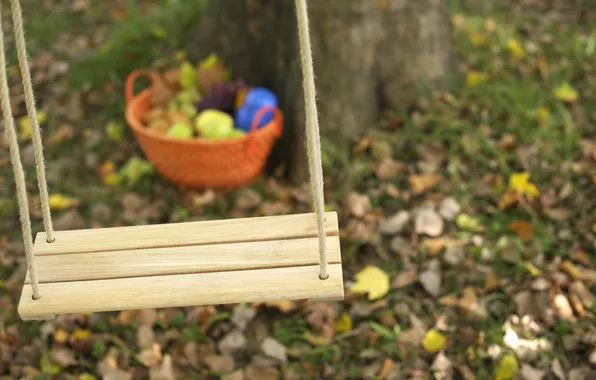Autumn, macro, Park, swing