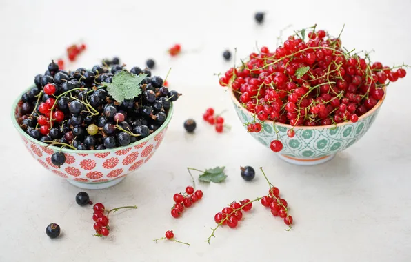 Berries, plates, black, red, currants, Julia Khusainova