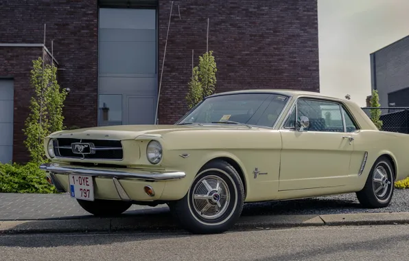 Picture Mustang, Ford, old, 1964