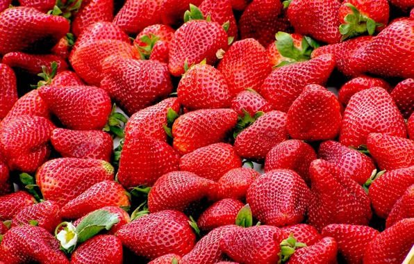 Picture berries, strawberry, a lot