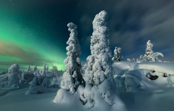 Winter, snow, trees, landscape, night, nature, stars, Northern lights