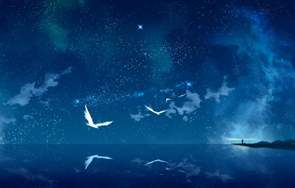 Sea, stars, birds, night, lighthouse, art, starry sky, tokumu kyuu
