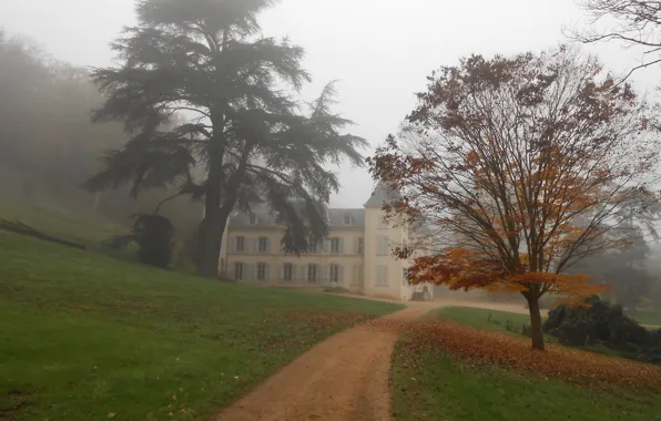 Picture Fog, Path, Autumn, Trail, The building, Fall, Autumn, Building