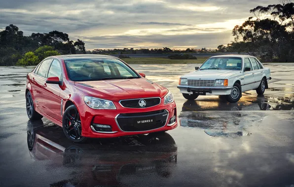 Picture Holden, 2013, Holden, Commodore