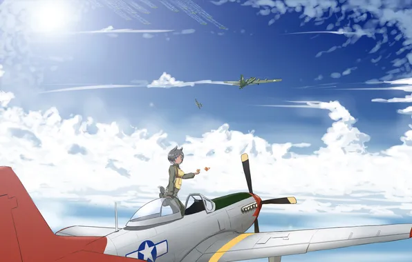 Picture the sky, clouds, fighter, birds, neko, ears, aircraft, ponytail