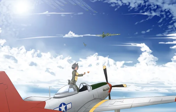 The sky, clouds, fighter, birds, neko, ears, aircraft, ponytail