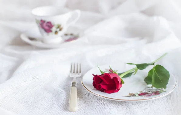 Picture style, rose, plate, Cup, plug, tablecloth