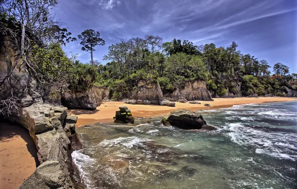 Picture sea, the sky, trees, nature, stones, the ocean, shore