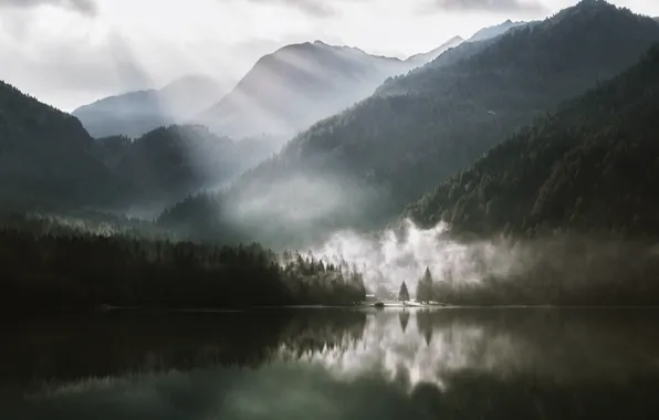 Water, Nature, Mountains, Fog, Lake, Trees, Mountain, Forest