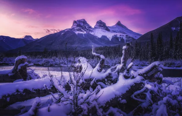 Winter, forest, snow, trees, sunset, mountains, river, Canada