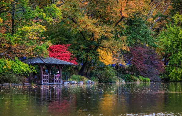 Autumn, trees, lake, New York, gazebo, New York City, Central Park, Central Park