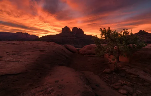 Clouds, landscape, sunset, mountains, stones, tree, rocks, desert