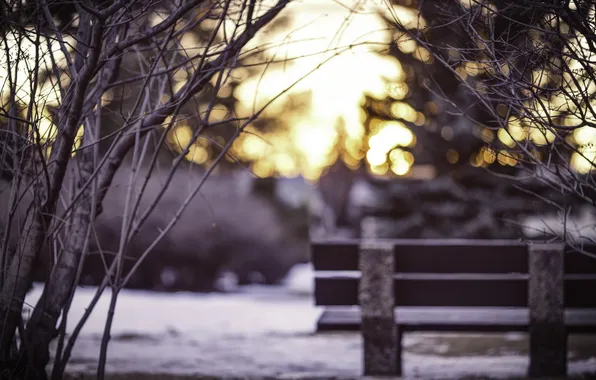The city, Park, bench