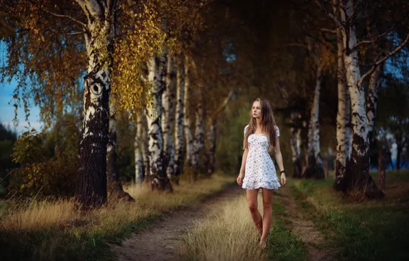 Road, autumn, girl, birch