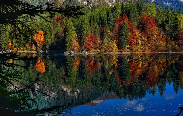 Autumn, forest, trees, lake, reflection, Italy, Italy, Trentino