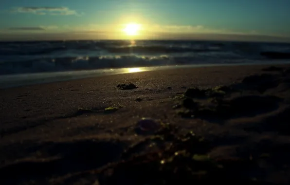 Sand, sea, water, the sun, macro, rays, landscape, sunrise