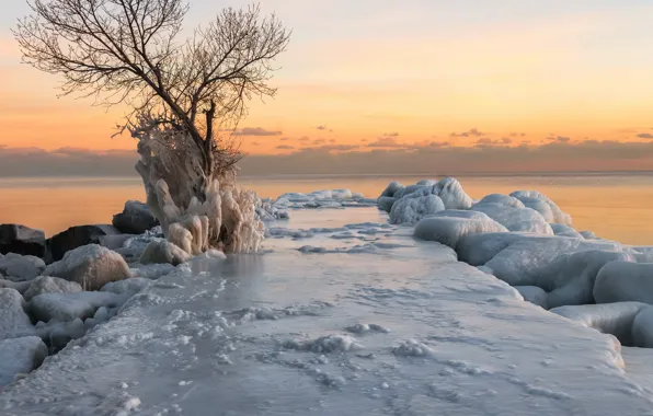 Winter, sea, sunset, shore, ice