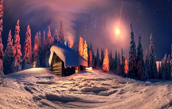 Winter, snow, night, nature, the city, lights, new year, Christmas