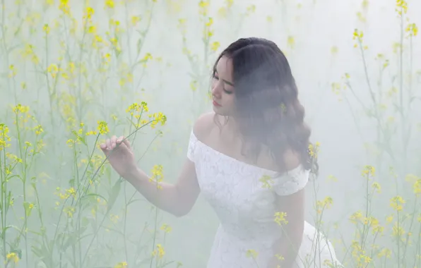 Picture flowers, nature, fog, model, meadow, Asian