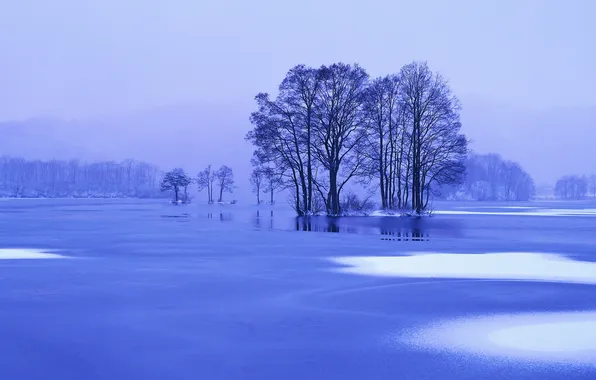 Picture ice, winter, snow, trees, landscape, blue, nature, Lake