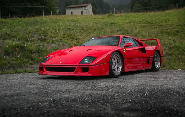 Red, F40, Hill