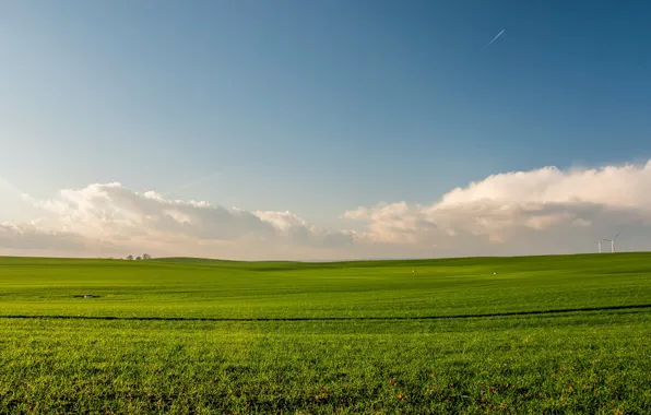 Field, freedom, clouds, green grass, space, field, clouds, blue sky