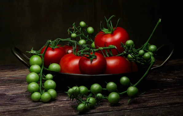 The dark background, Board, green, red, still life, tomatoes, on the branch, tomatoes