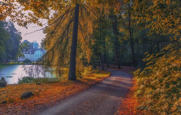 Picture road, autumn, forest, trees, lake, Park, the building