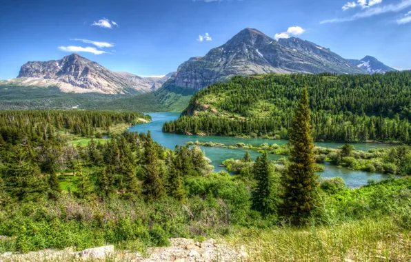 Picture forest, landscape, mountains, nature, Park, HDR, USA, Glacier