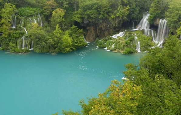 Picture water, trees, waterfalls, plitvice lakes
