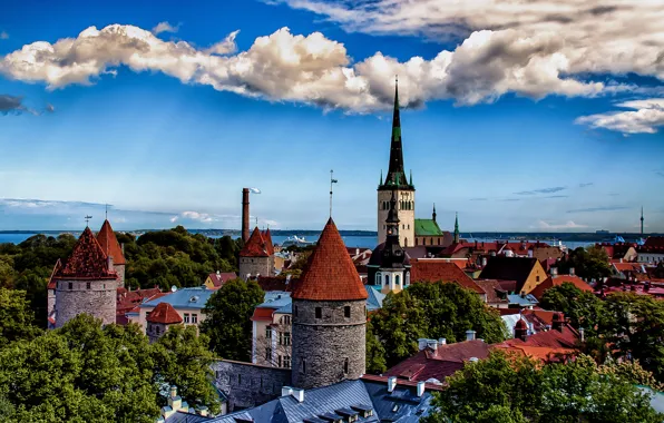 Sea, trees, landscape, tower, home, Estonia, panorama, Tallinn