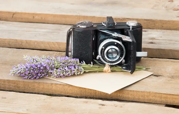 Flowers, the camera, lavender, the envelope