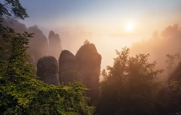 The sky, the sun, trees, mountains, branches, fog, stones, rocks