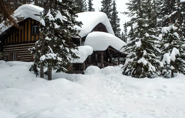 Nature, Winter, Snow, House, House, Nature, Winter, Snow