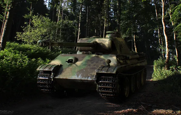 Picture Panther, tank, the second world war, military equipment