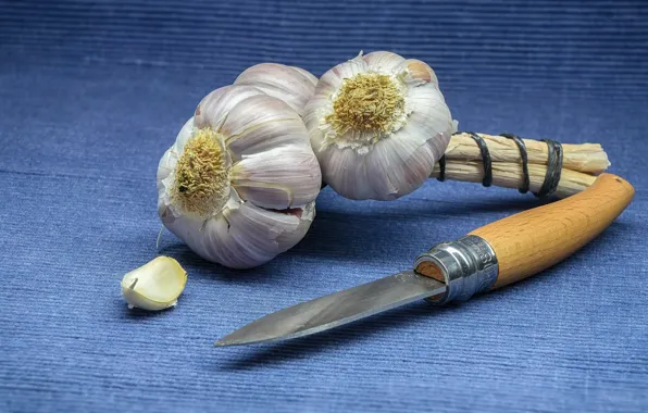 Picture table, slice, knife, garlic