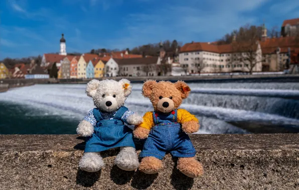The city, toy, toys, building, bear, bears, bear, channel
