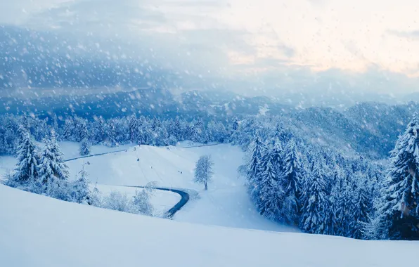 Winter, snow, nature