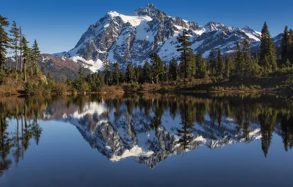 Forest, snow, mountains, lake, reflection, tops