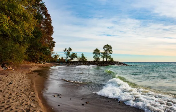 Sand, beach, the sky, clouds, trees, lake, stones, shore
