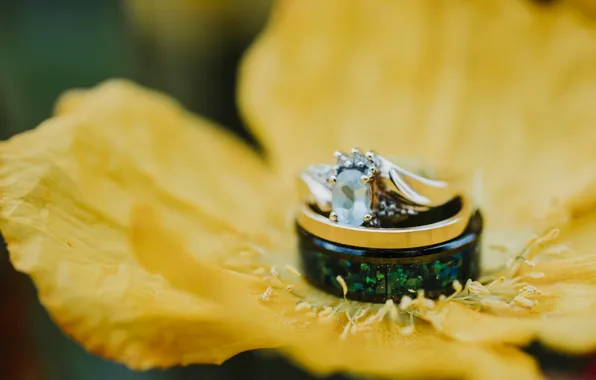 Flower, ring, wedding, yellow petals