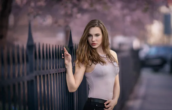 Picture look, Mike, sponge, Nikol