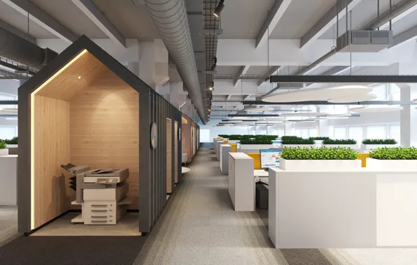 Interior, plants, the room, equipment, OpenSpace
