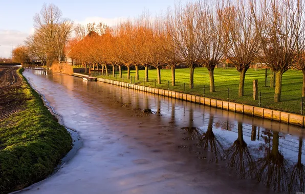 Picture ice, the sky, grass, trees, sunset, home, channel